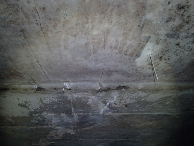 4-4-10(2)백태(JOINT).jpg